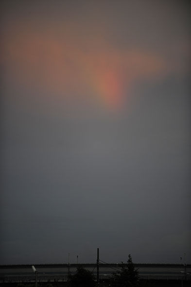 うちのとらまる