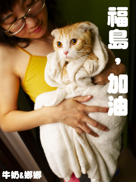 うちのとらまる
