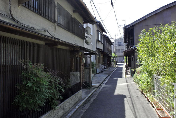 うちのとらまる