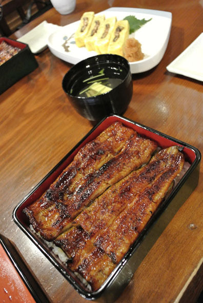 うちのとらまる
