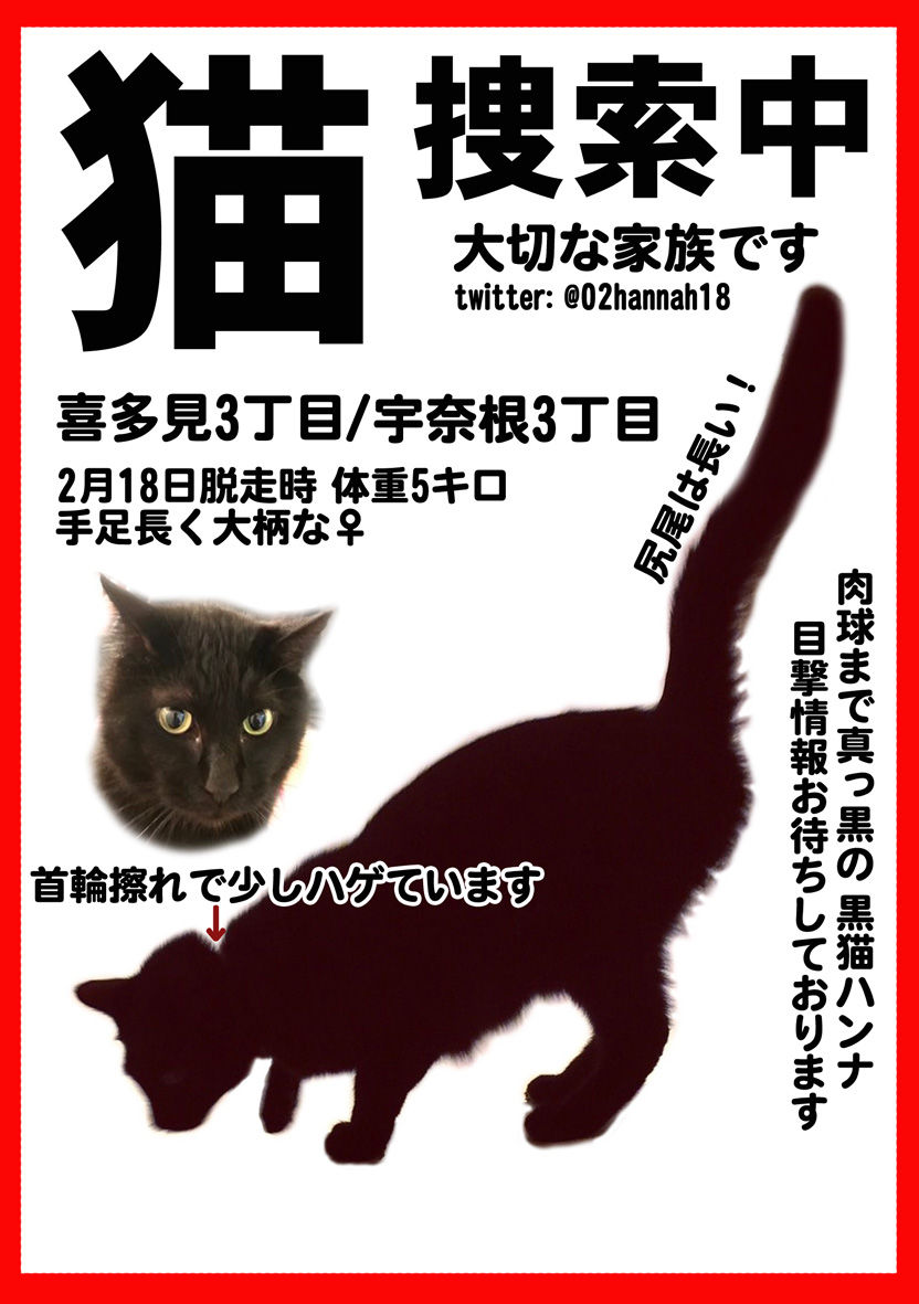黒猫ハンナ 捜索継続中 うちのとらまる Powered By ライブドアブログ 黒猫ハンナ 捜索継続中 うちのとらまる Powered By ライブドアブログ
