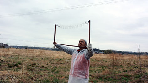 うちのとらまる