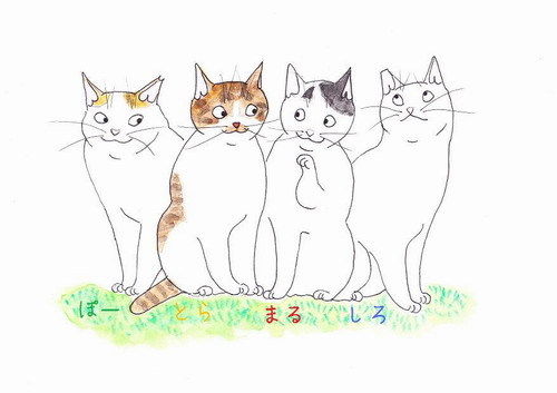 うちのとらまる