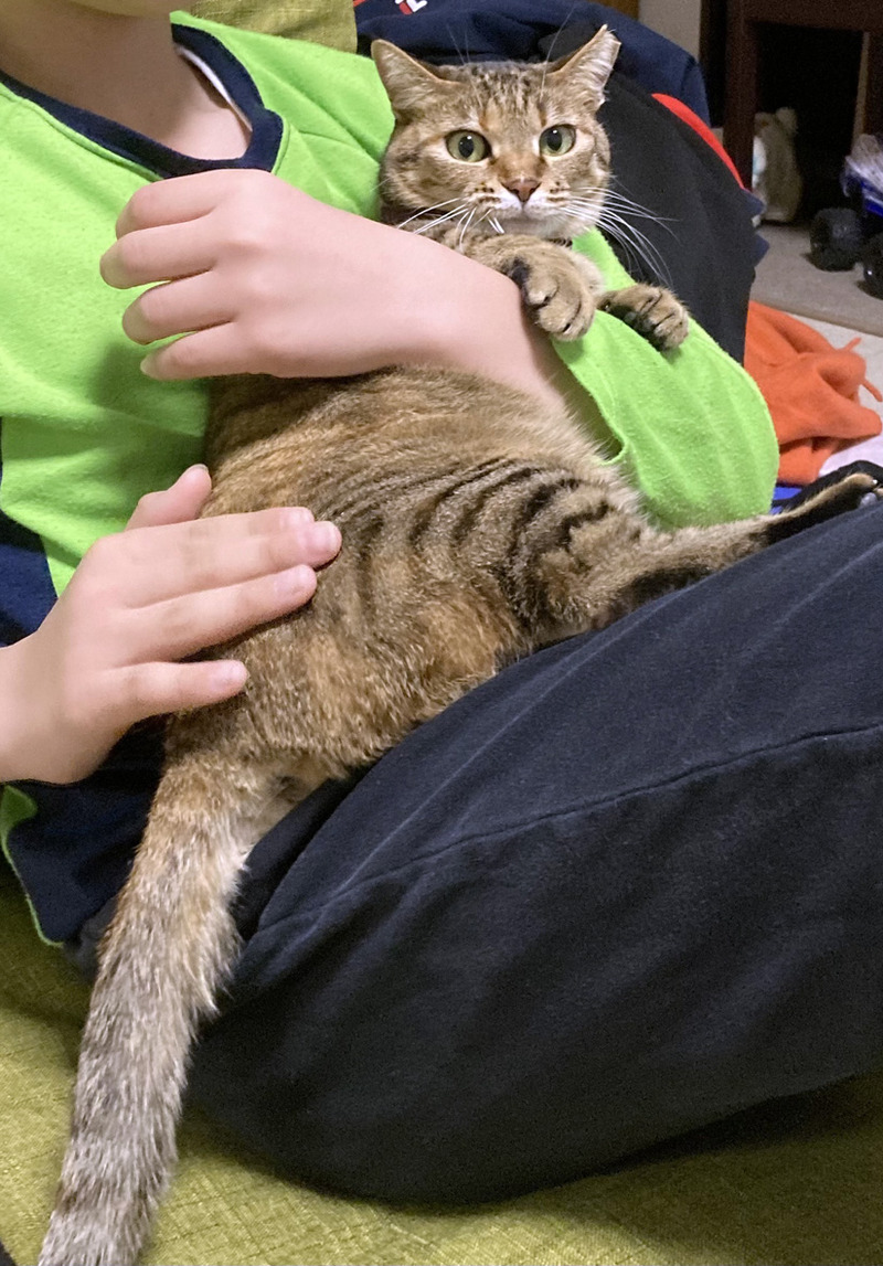 llE1CAE738-6CF4-4DAA-9D55-C9285636A6AF