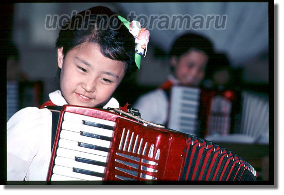 うちのとらまる