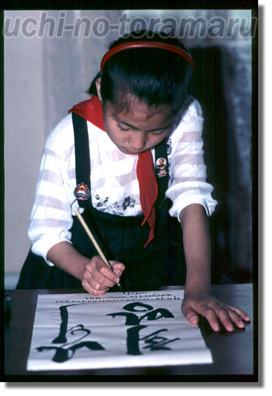 うちのとらまる