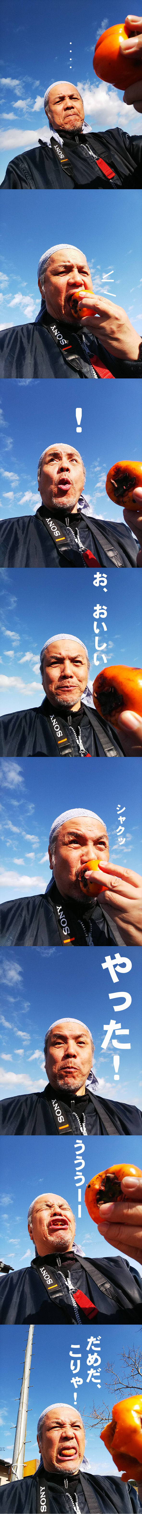 柿じゃ