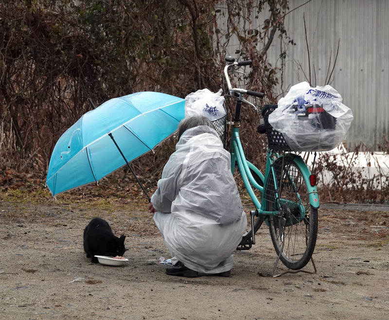 l雨