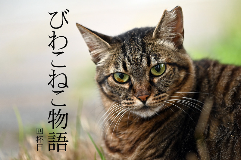 ｌはこタイトル