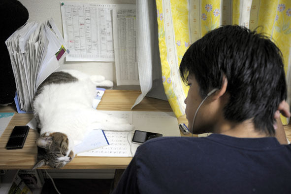 うちのとらまる