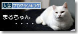 うちのとらまる