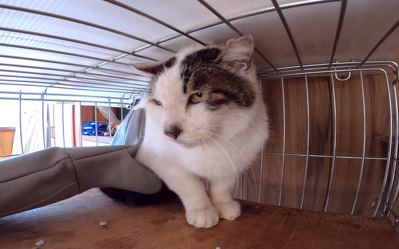 l手が届かない02