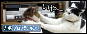 うちのとらまる