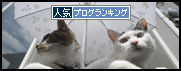 うちのとらまる