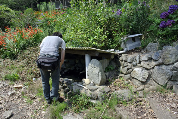 うちのとらまる