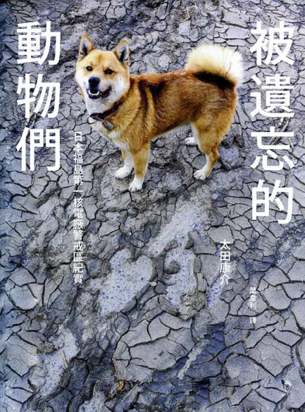 うちのとらまる