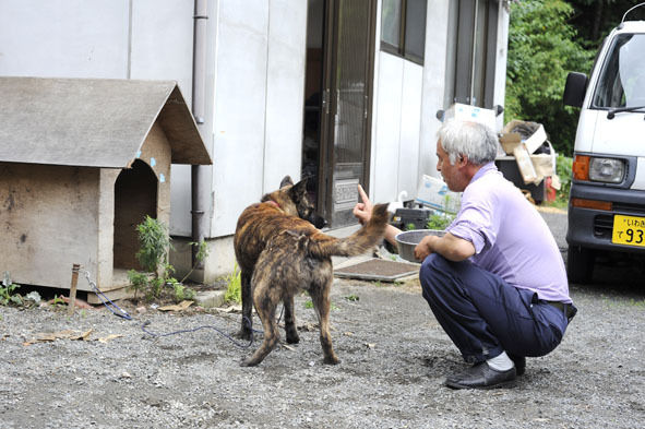 うちのとらまる