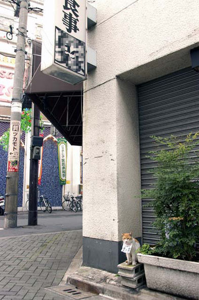 $うちのとらまる