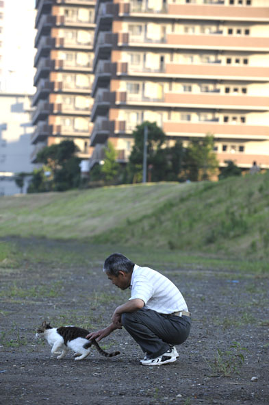 うちのとらまる