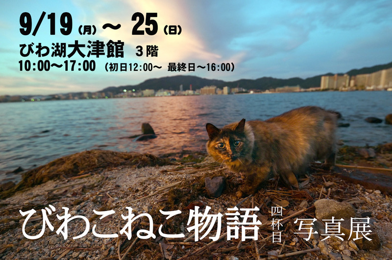 lフサ子タイトルポスター角