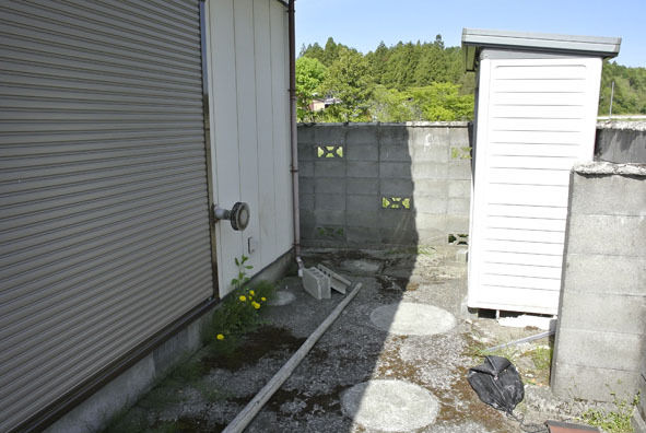 うちのとらまる