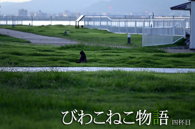 lクーコタイトル