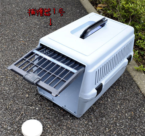 うちのとらまる