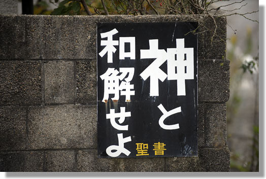 うちのとらまる