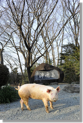 うちのとらまる