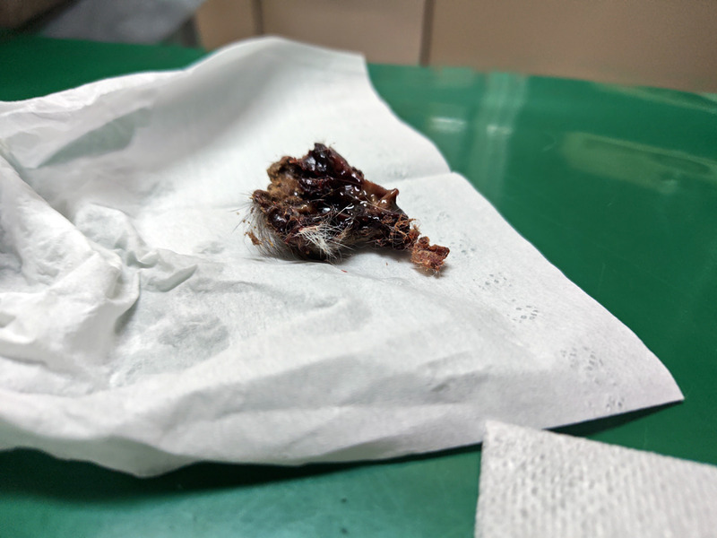 l241209173513814