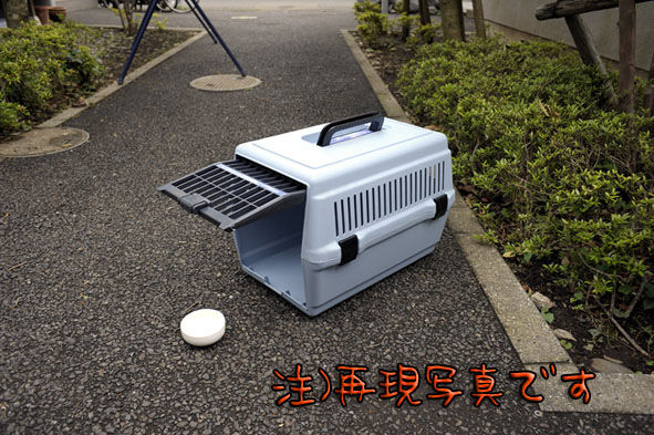 うちのとらまる
