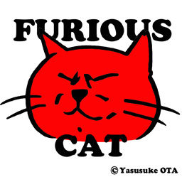 スモールFURIOUSCAT01