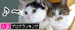 うちのとらまる