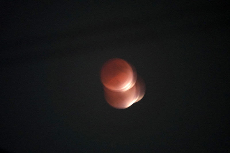l08743