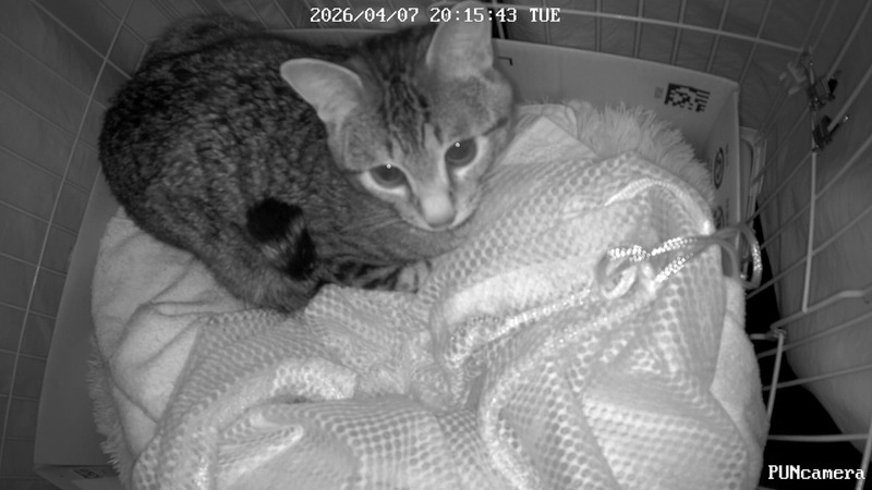 llPUNcamera 2026-4-7 20-15-44