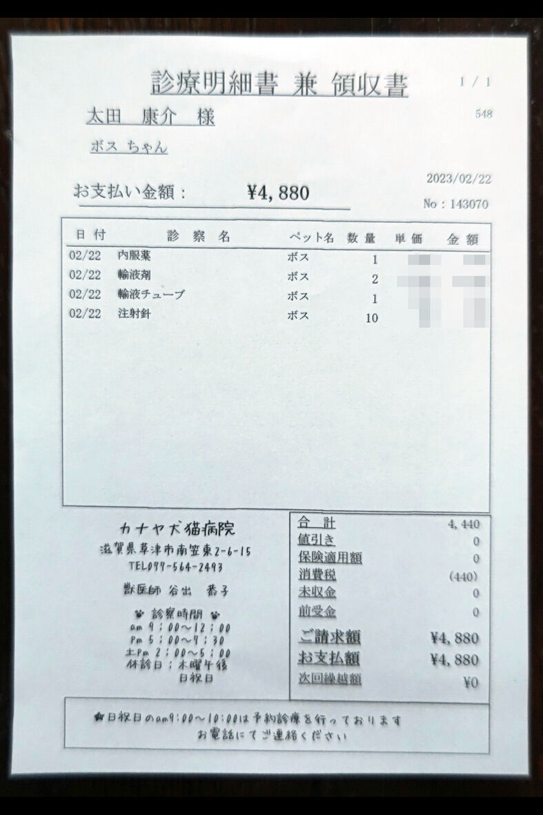 ボス輸液パック吸着剤20230222