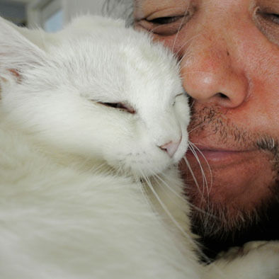 うちのとらまる