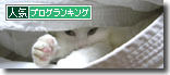 うちのとらまる