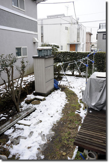 うちのとらまる