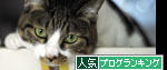 うちのとらまる