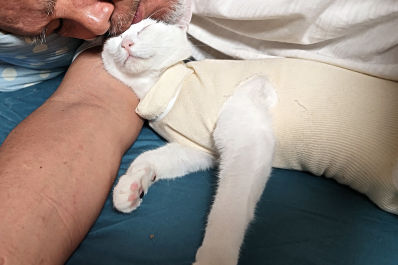 l0001_BURST20230519003915286_COVER