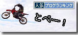 うちのとらまる