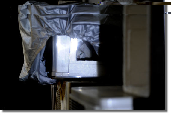 うちのとらまる