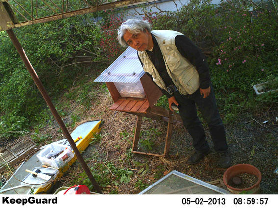 うちのとらまる