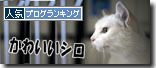 うちのとらまる