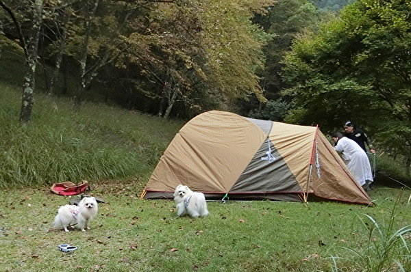 桑原オートキャンプ場でグルキャン 2 いちぱち家 ハイエース旅 桑原オートキャンプ場でグルキャン 2 いちぱち家 ハイエース旅