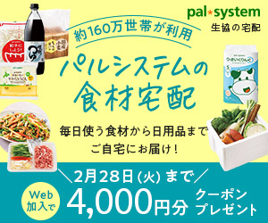 1_パルシステム_300×250