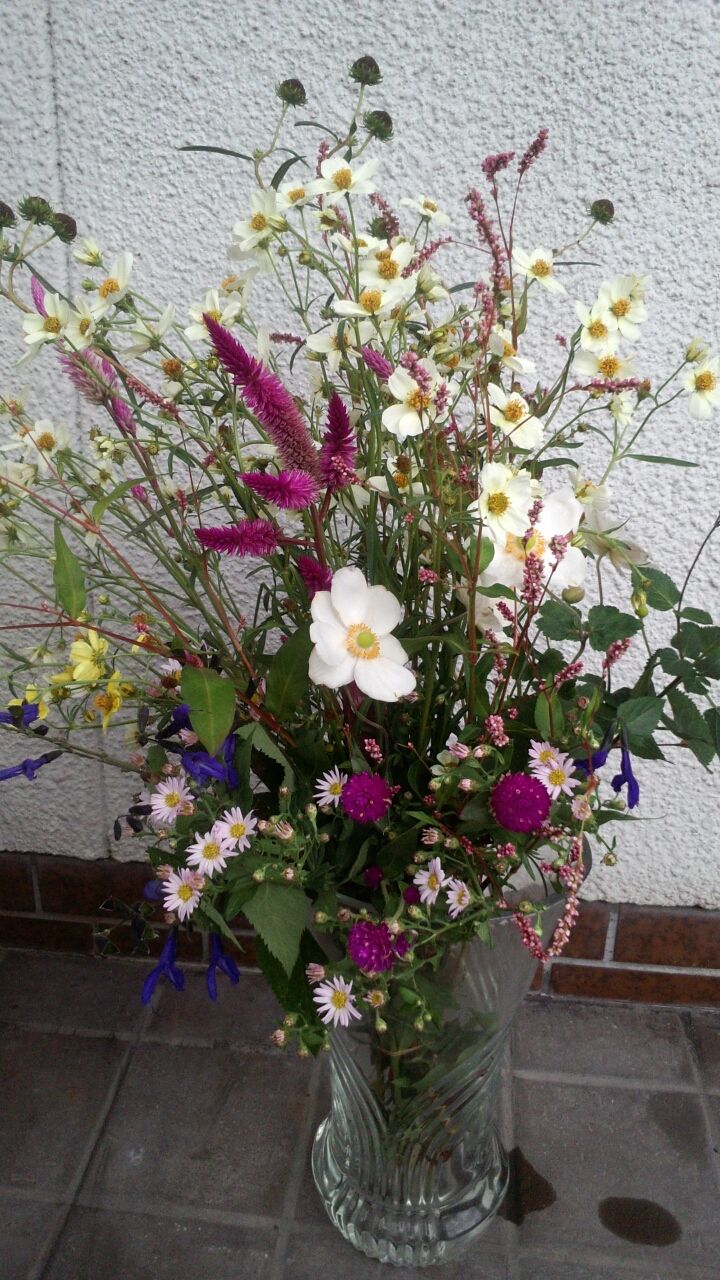 野の花を使った秋の花束 うちの庭 メドゥーガーデン 野の花を使った秋の花束 うちの庭 メドゥーガーデン