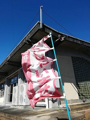 72489031_2503399176410282_6629265618895896576_n[1]