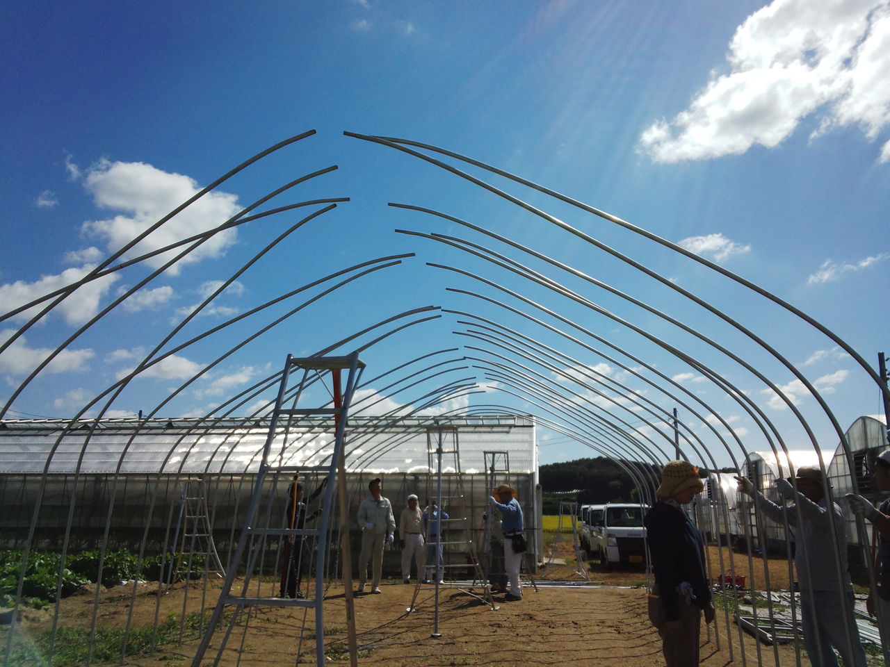 ビニールハウス製作 みのり農園 手打ちうどん みのり